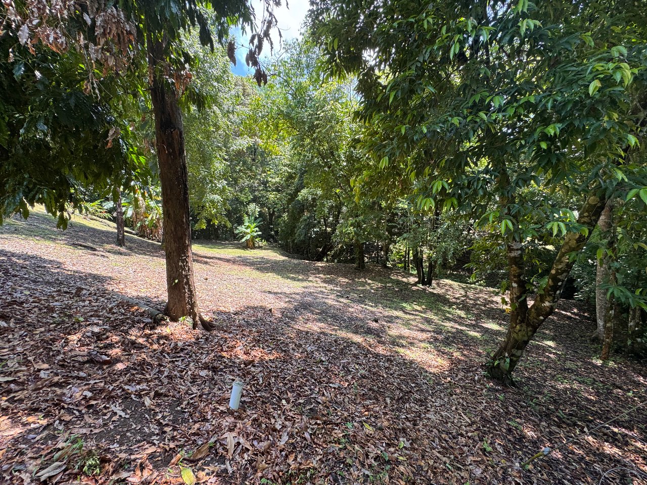 Walk to the Playitas beach, Titlled Building lot