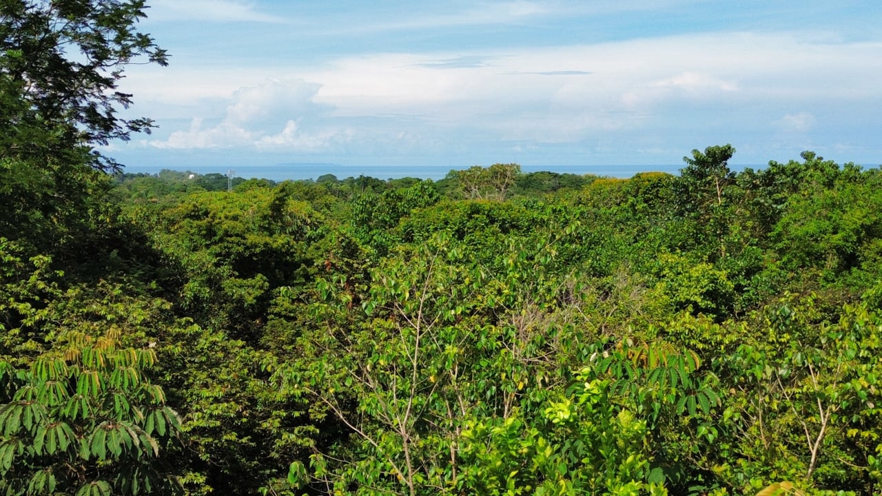 FIRE SALE - Cano Island & Ocean Views, w/Approved Building Plans