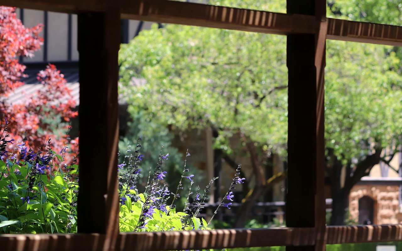 Everything You Need to Know About Investing in Real Estate in Napa Valley