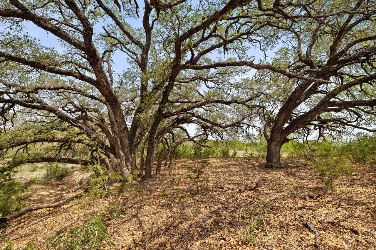 94 Acres in Burnet County