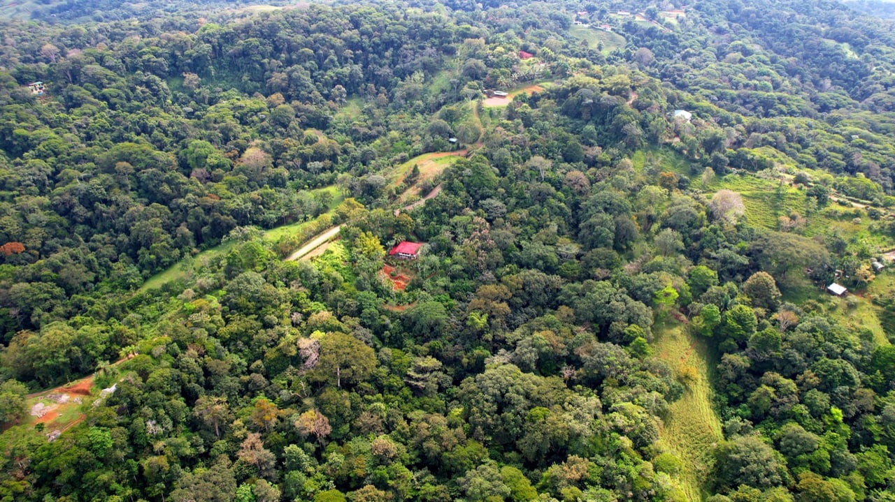 Valley of Dreams - A Beautiful Multi-Use Property Near Cacao Ridge, 10.85 Acres at a Phenomenal Price!