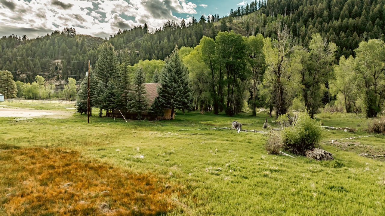 Grassy meadow and small cabin among trees, backed by forested hills.