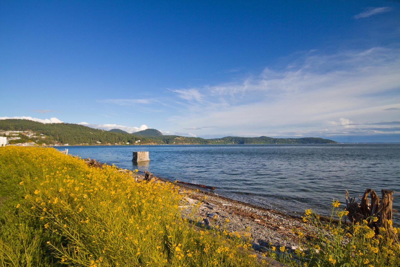 Anacortes Real Estate - Reasons to Love Anacortes - Guemes Trail