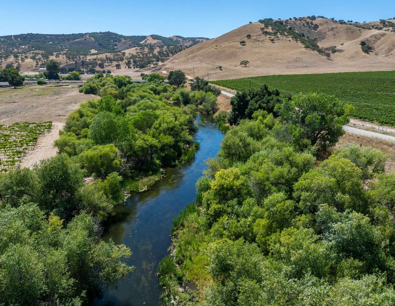 Joseph Vineyard | 76987 Nacimiento Lake Drive