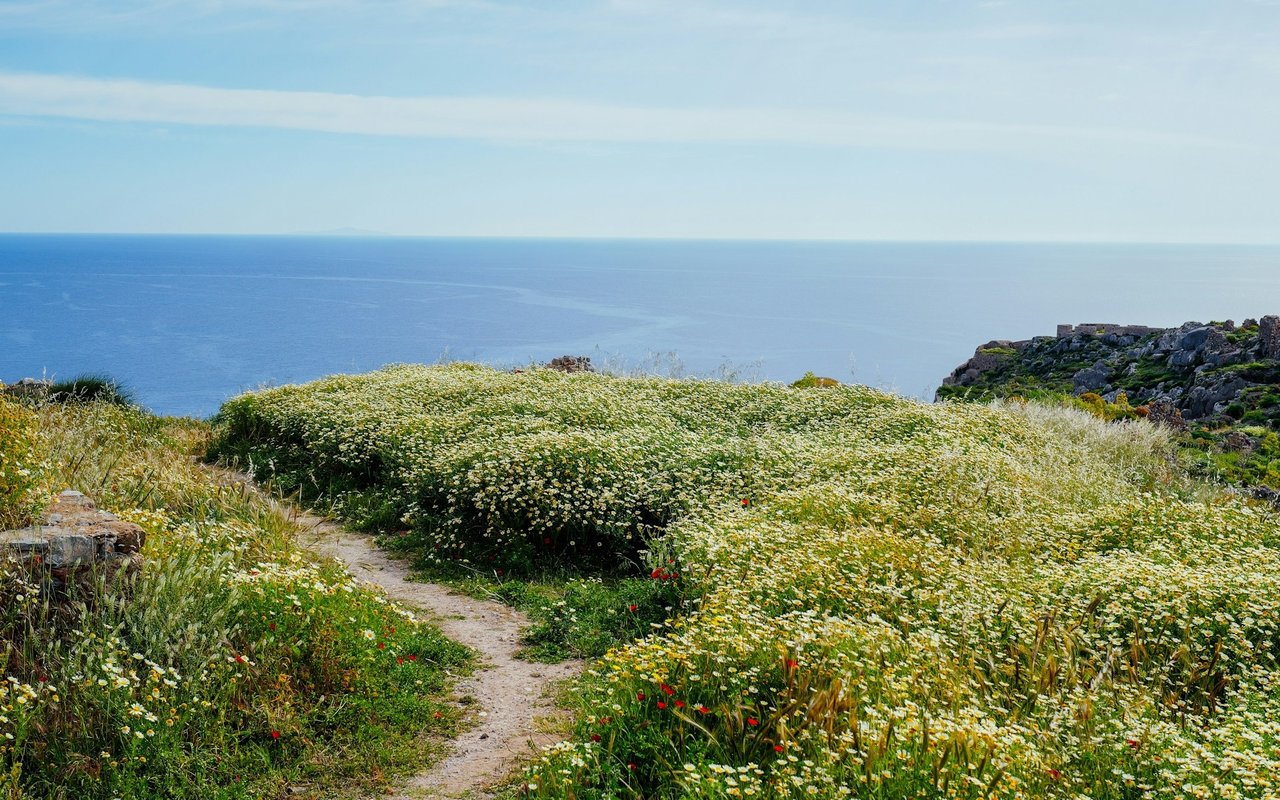 Boat Canyon / North Hillside