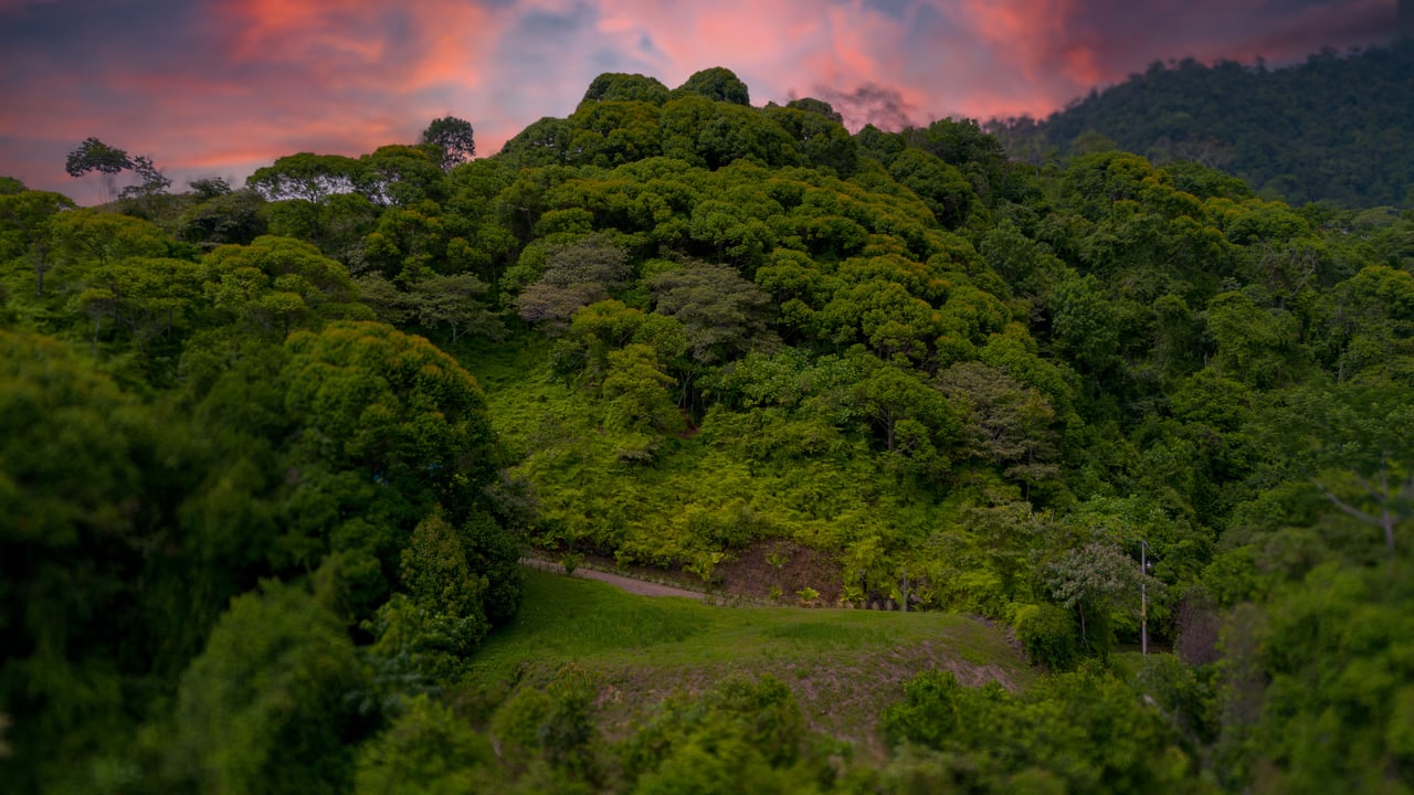 Oceancrest Cascada, Cascada el Sandalo 