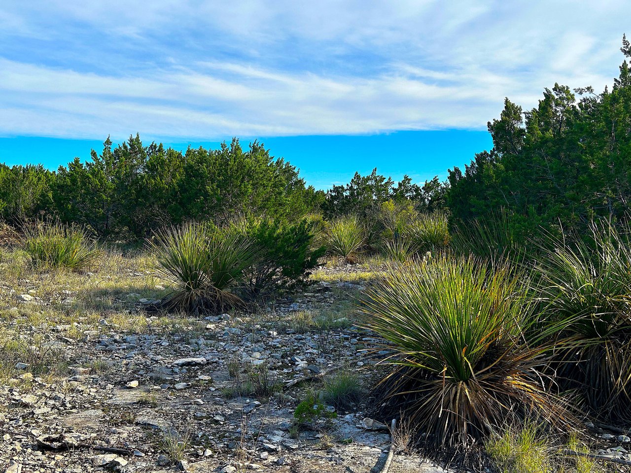 70 +/- ACRES | Edwards County | Tract 18 - East Dusty Rose Ranch