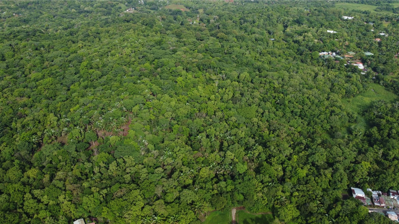 Large Development Acreage, Manuel Antonio, Puntarenas