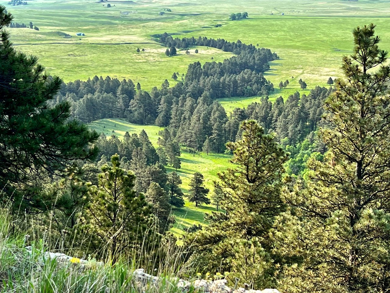 Carter County, Montana