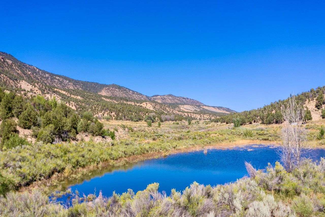 Weber Creek Ranch