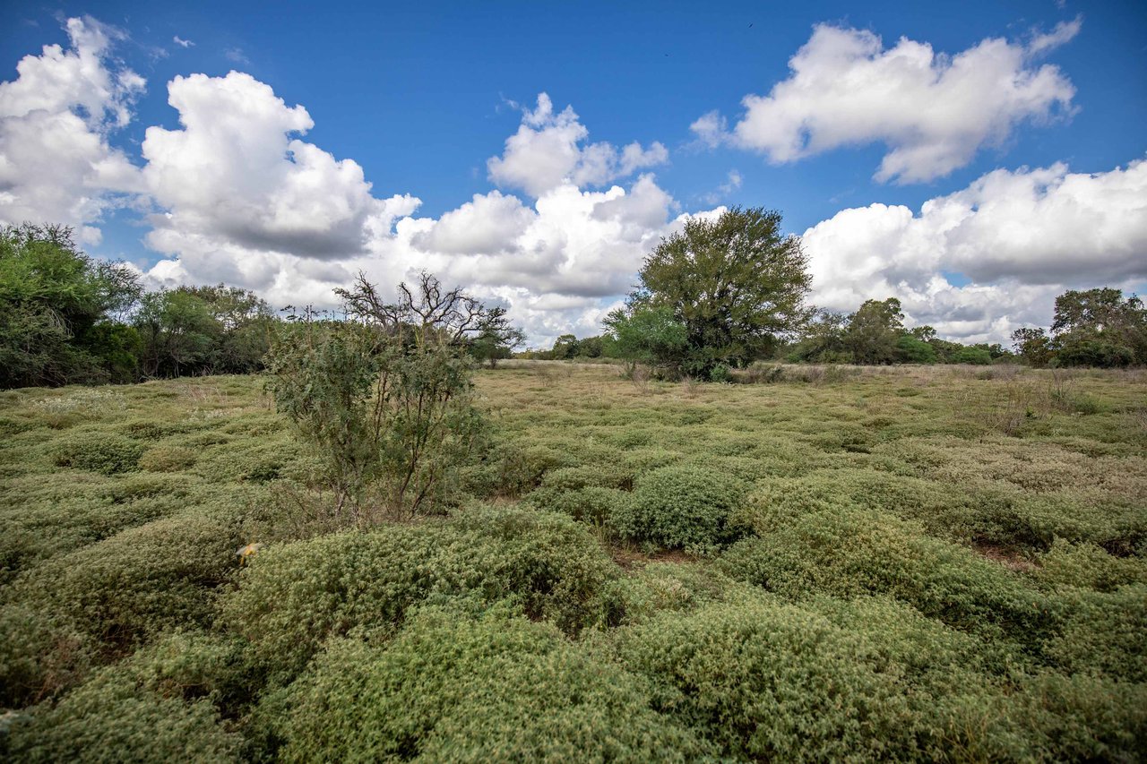 Lovers Lane River Ranch | 140± Acres | DeWitt County