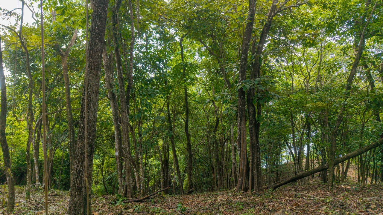 Pacific View Building Lot, Santa Teresa, Puntarenas