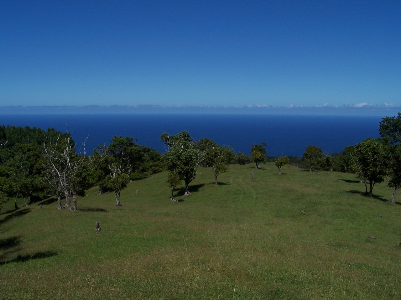 HAMAKUA COAST BIG ISLAND