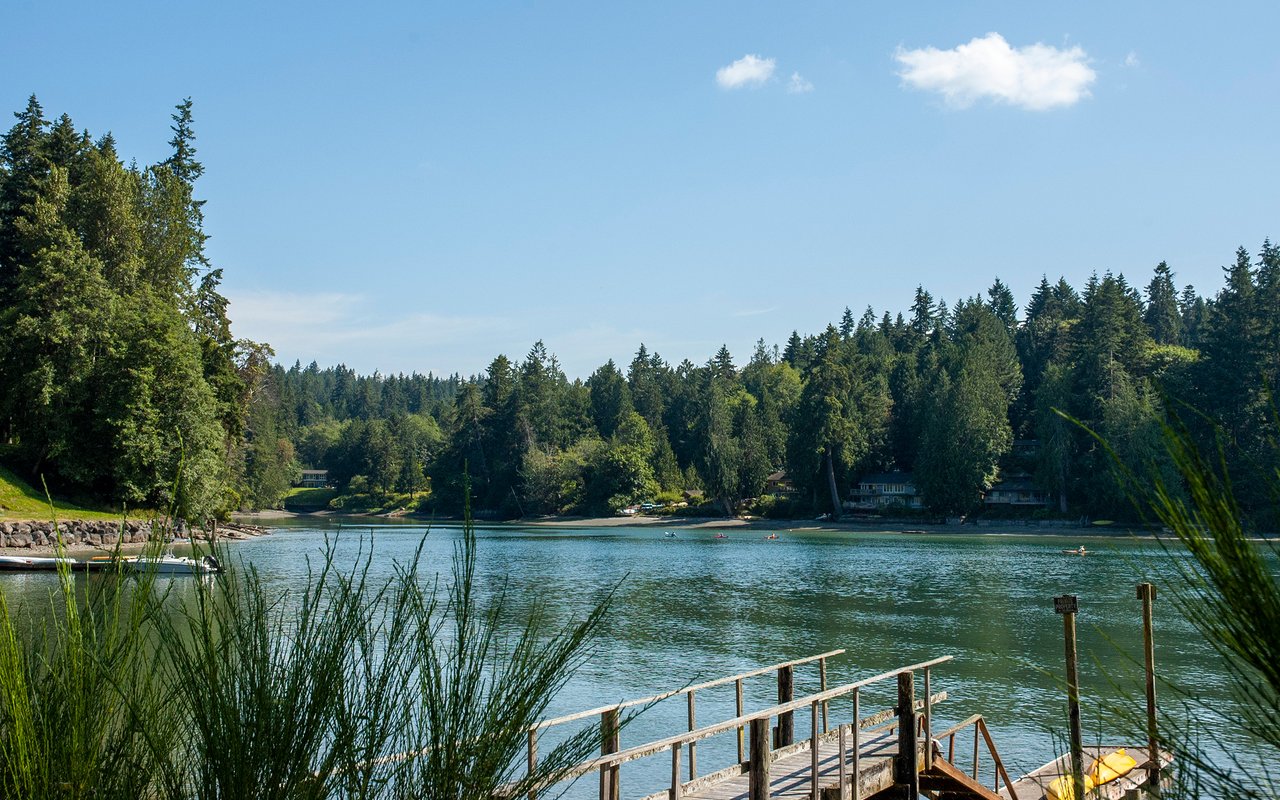 Manzanita