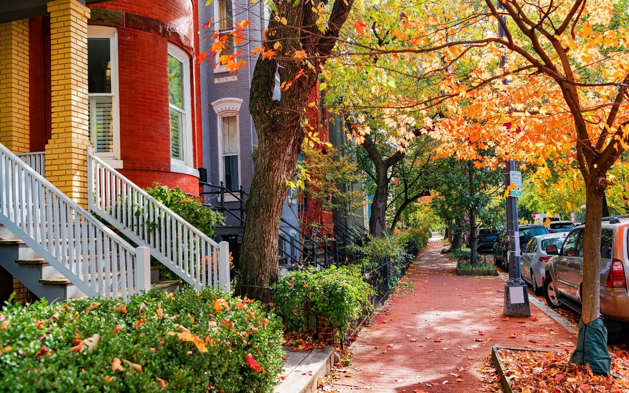 Petworth