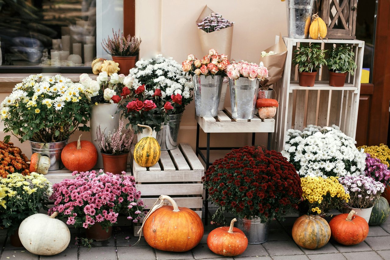 Autumn flower shop display with chrysanthemums, roses, and pumpkins