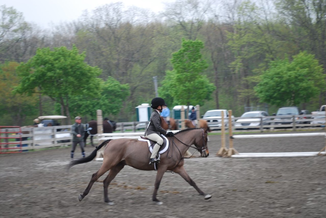 Devon Horse Show 2026 Guide, Lead Line History & Final Weekend Events | B&B Luxury Properties