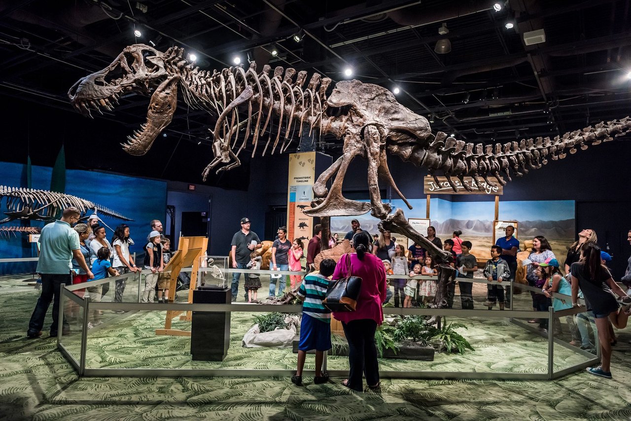 Discover the Wonders of the Orlando Science Center: A Must-Visit for Curious Minds