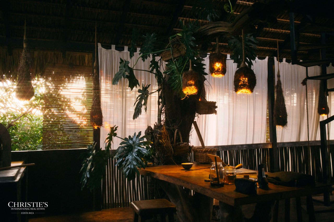 Villa Animales – Luxury Jungle Sanctuary