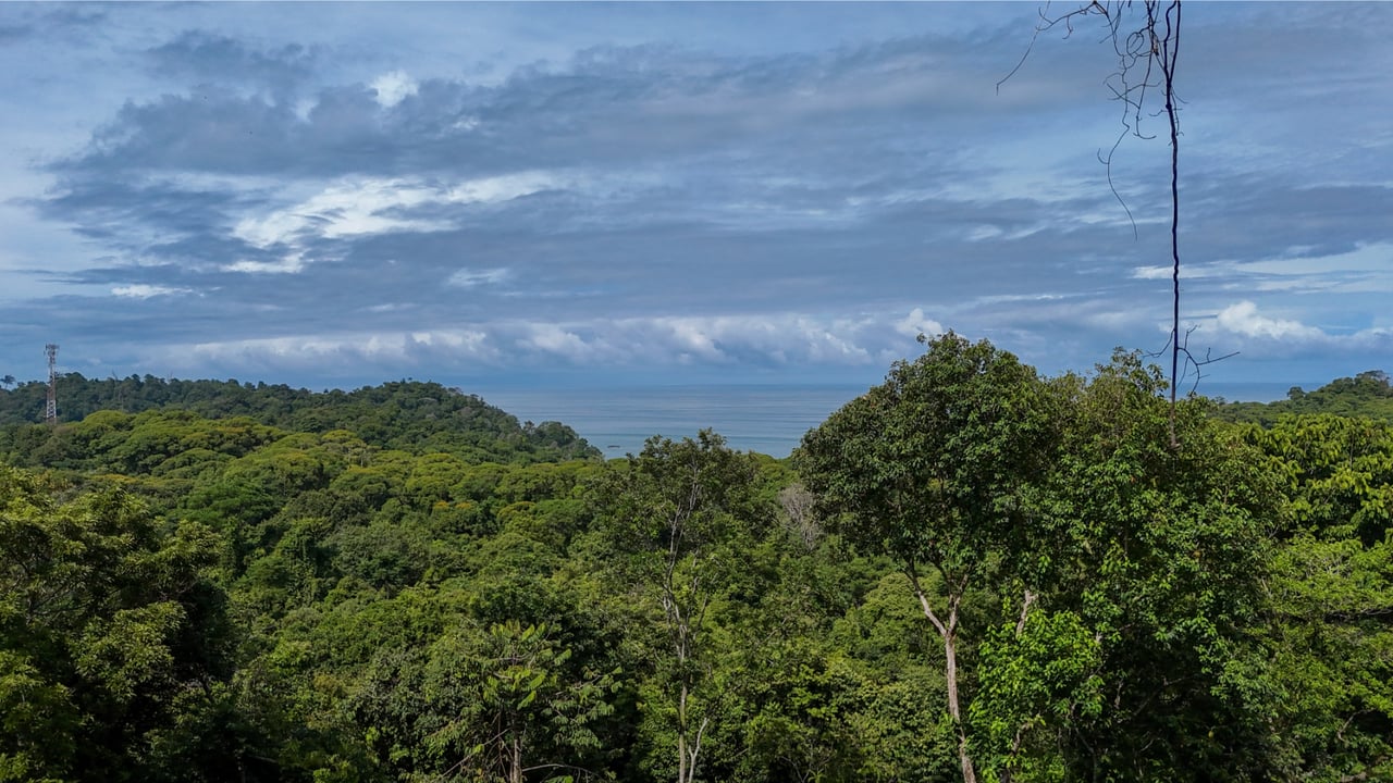 Secluded Ocean View Development Land, Ojochal, Puntarenas