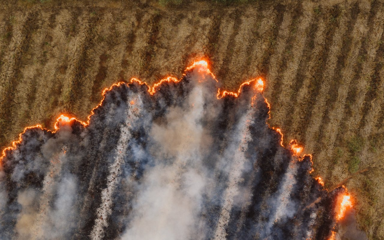 Understanding Your Homeowner's Insurance Policy in Case of a Wildfire