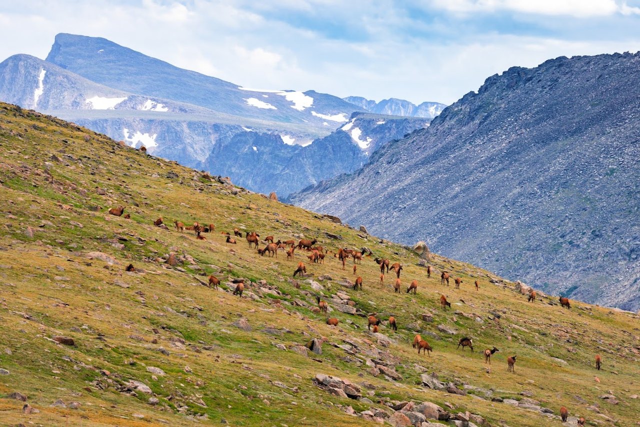 Where the Road Meets the Sky: Driving Trail Ridge Road