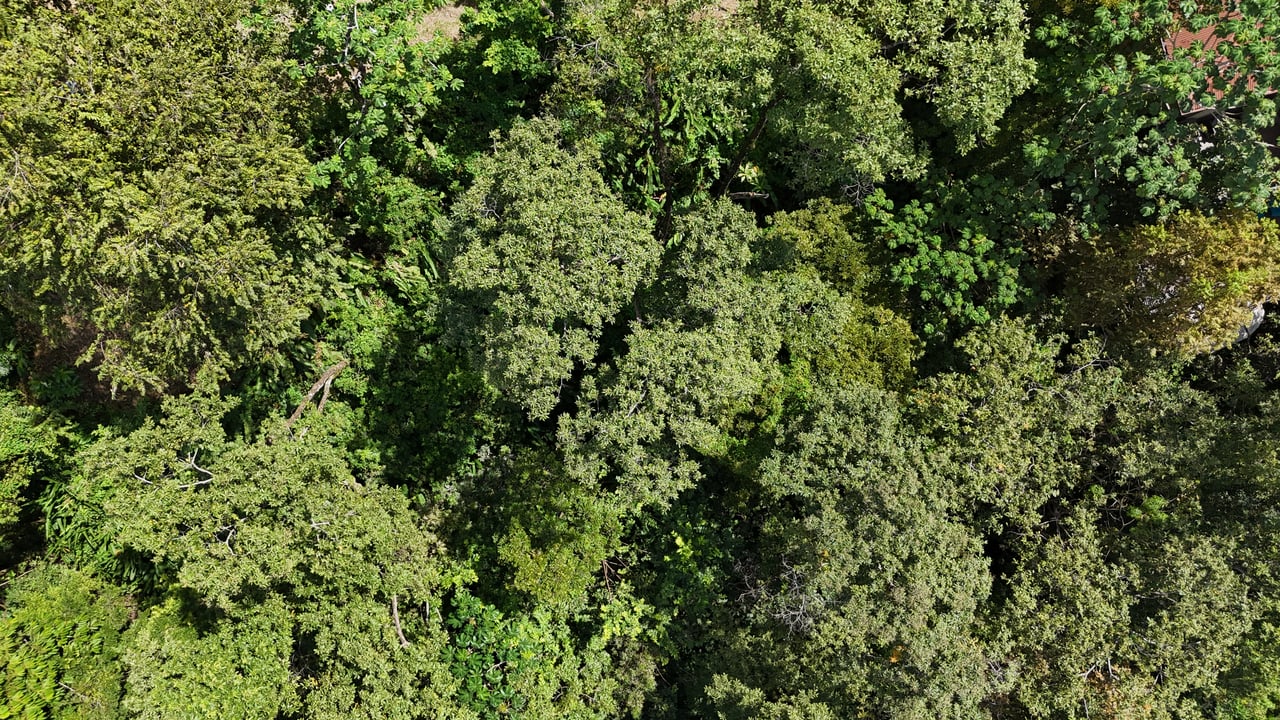 Luxury Gated Ocean-View Land Minutes from Manuel Antonio National Park and Marina