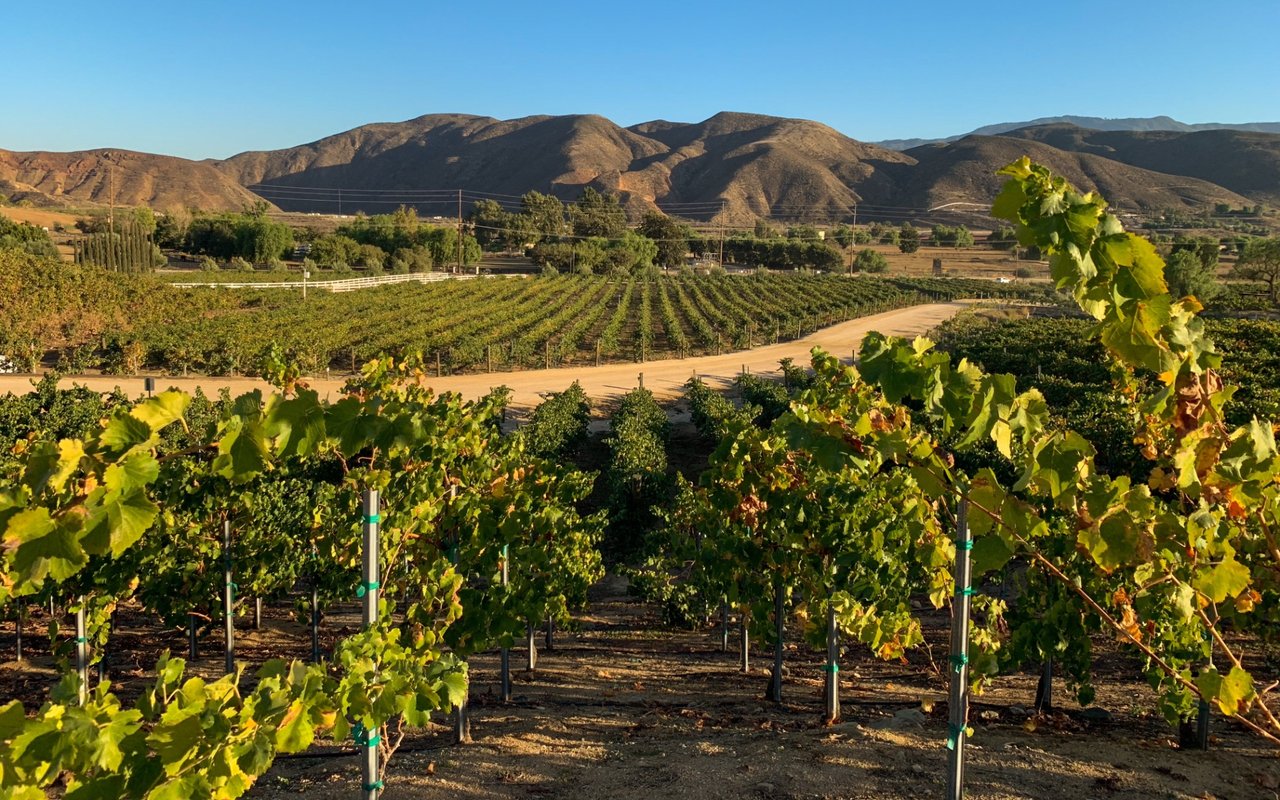 Wine Country, Temecula