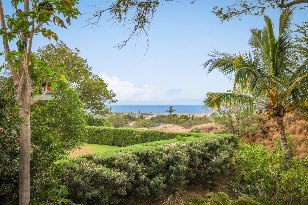 Waikoloa Village Stunner