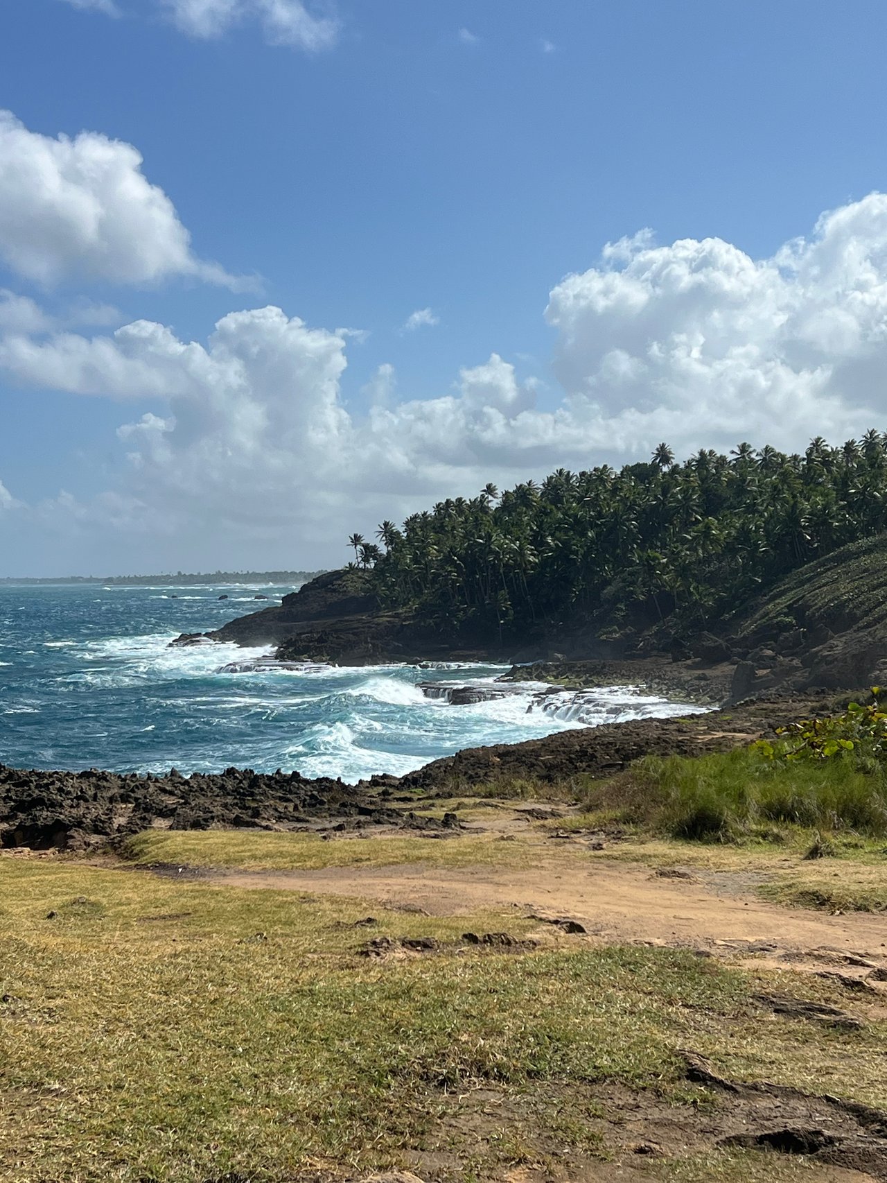 Treasure Point