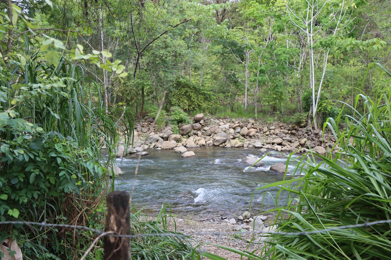 12.5 Acre property In-town for expansion, Enjoyment or Development