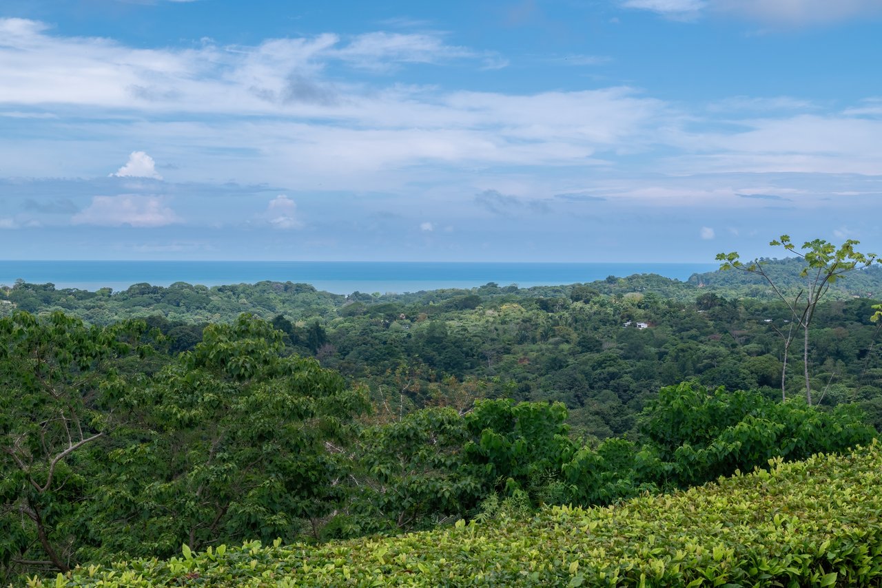 Amazing Ocean & Mountain Views on a 1.58-Acre Lot in Ojochal