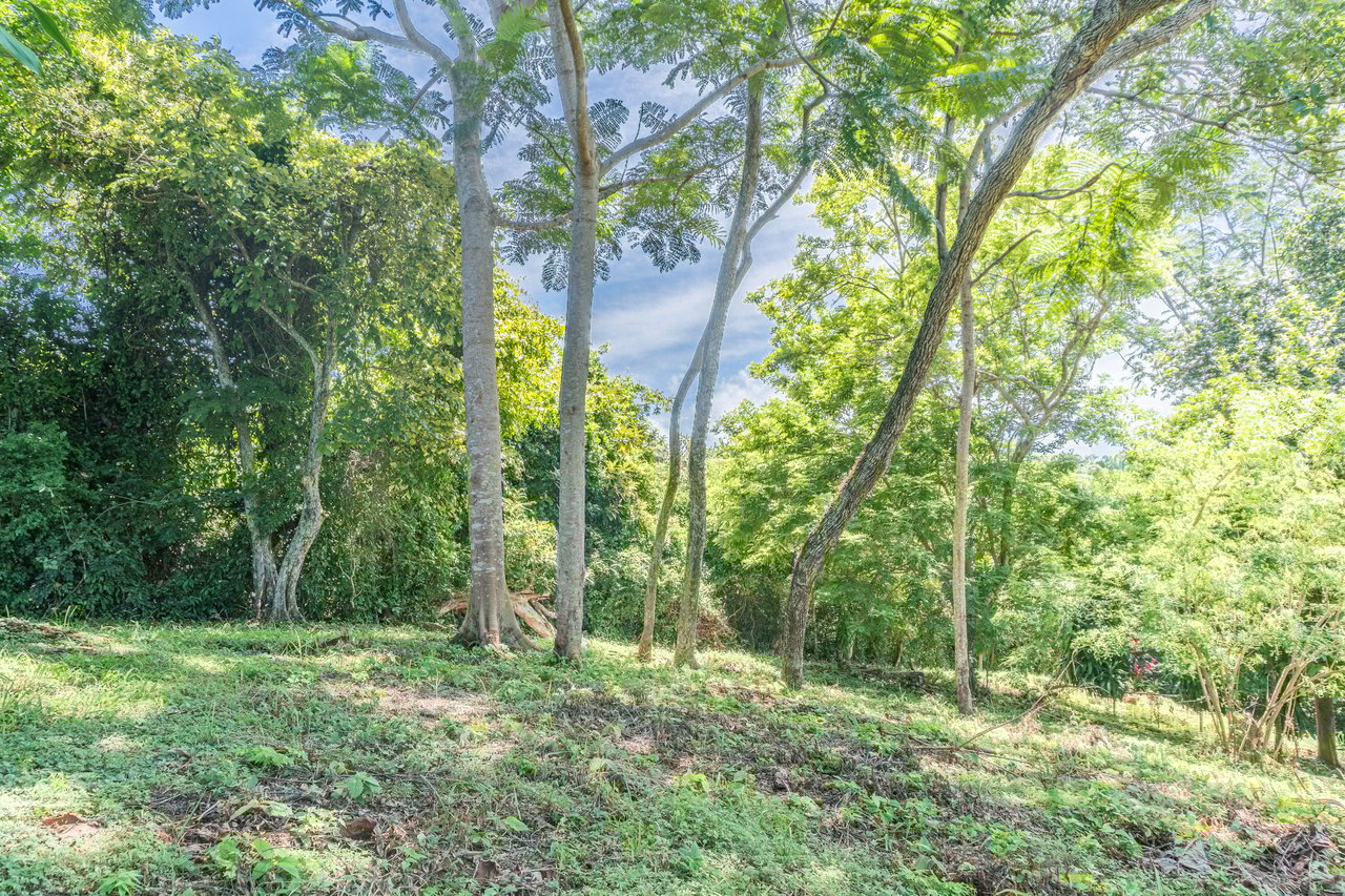 La Reserva Camaronal Lot 34