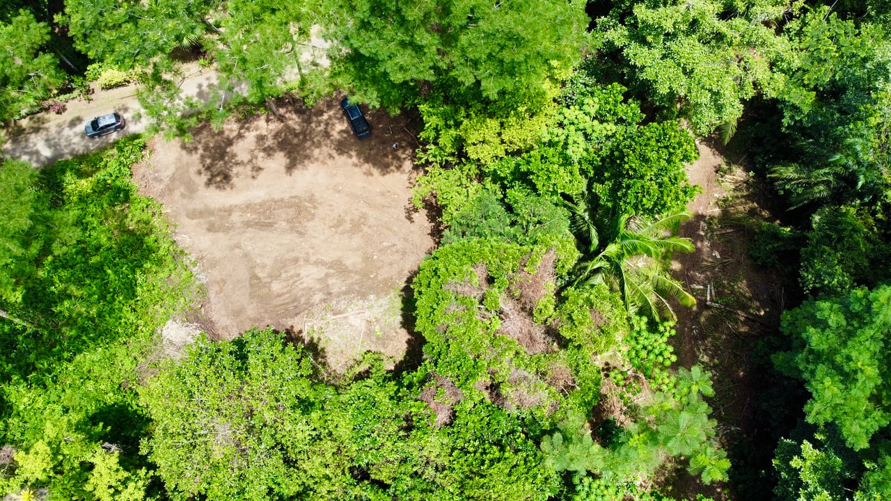 Ready-to-Build Land in San Antonio de Damas: 2,6-Acre with Terraces & Road Frontage