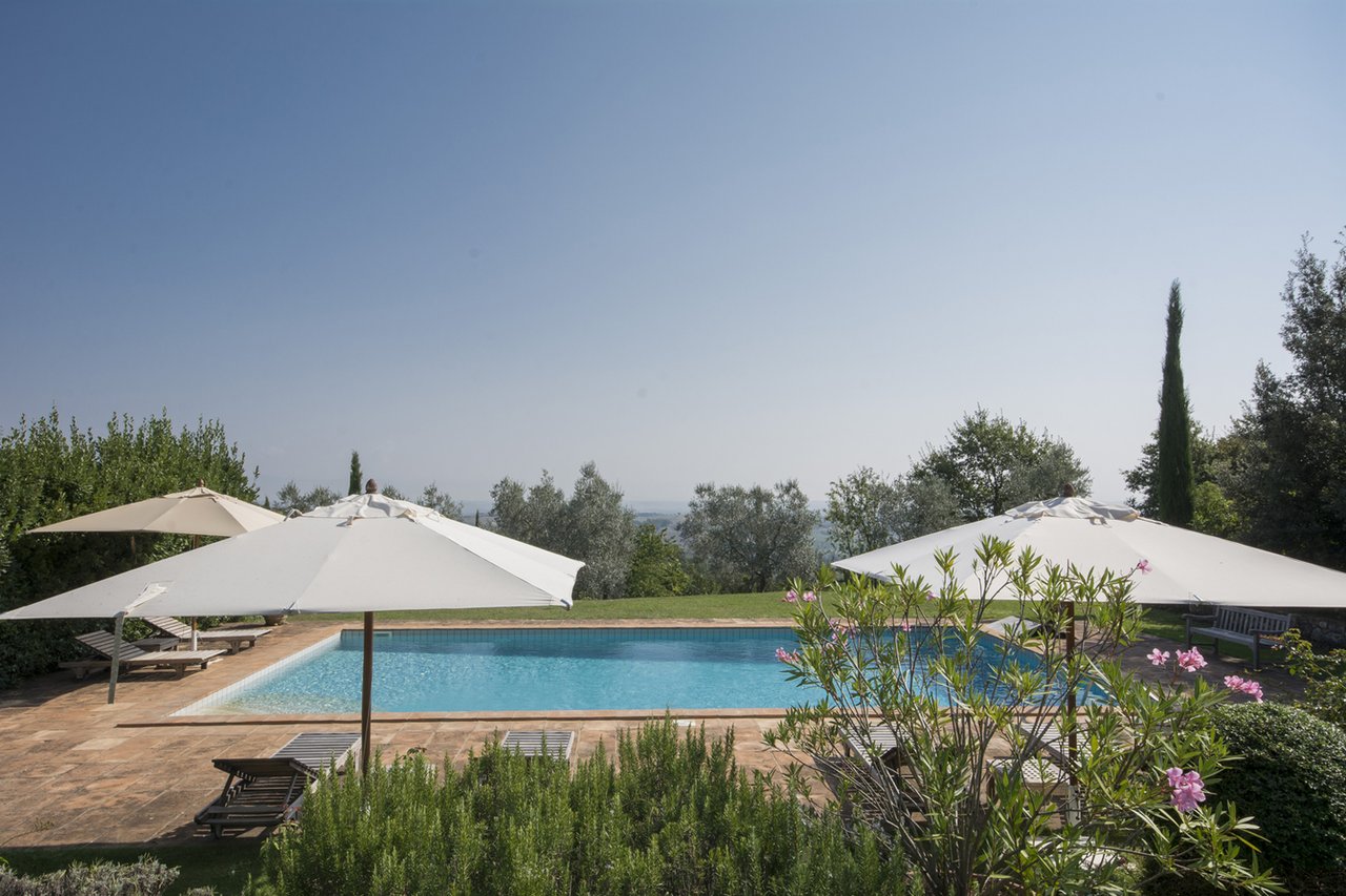 Exclusive Organic Winery for Sale in Siena
