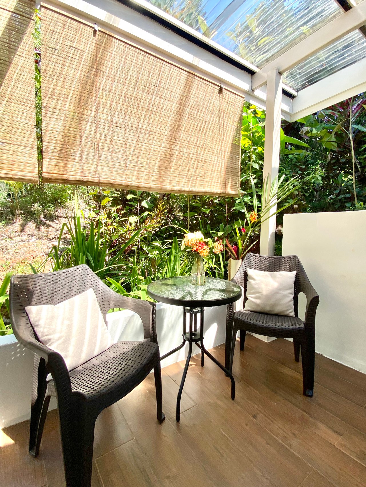 2 Homes in Ojochal Live and Earn in Paradise