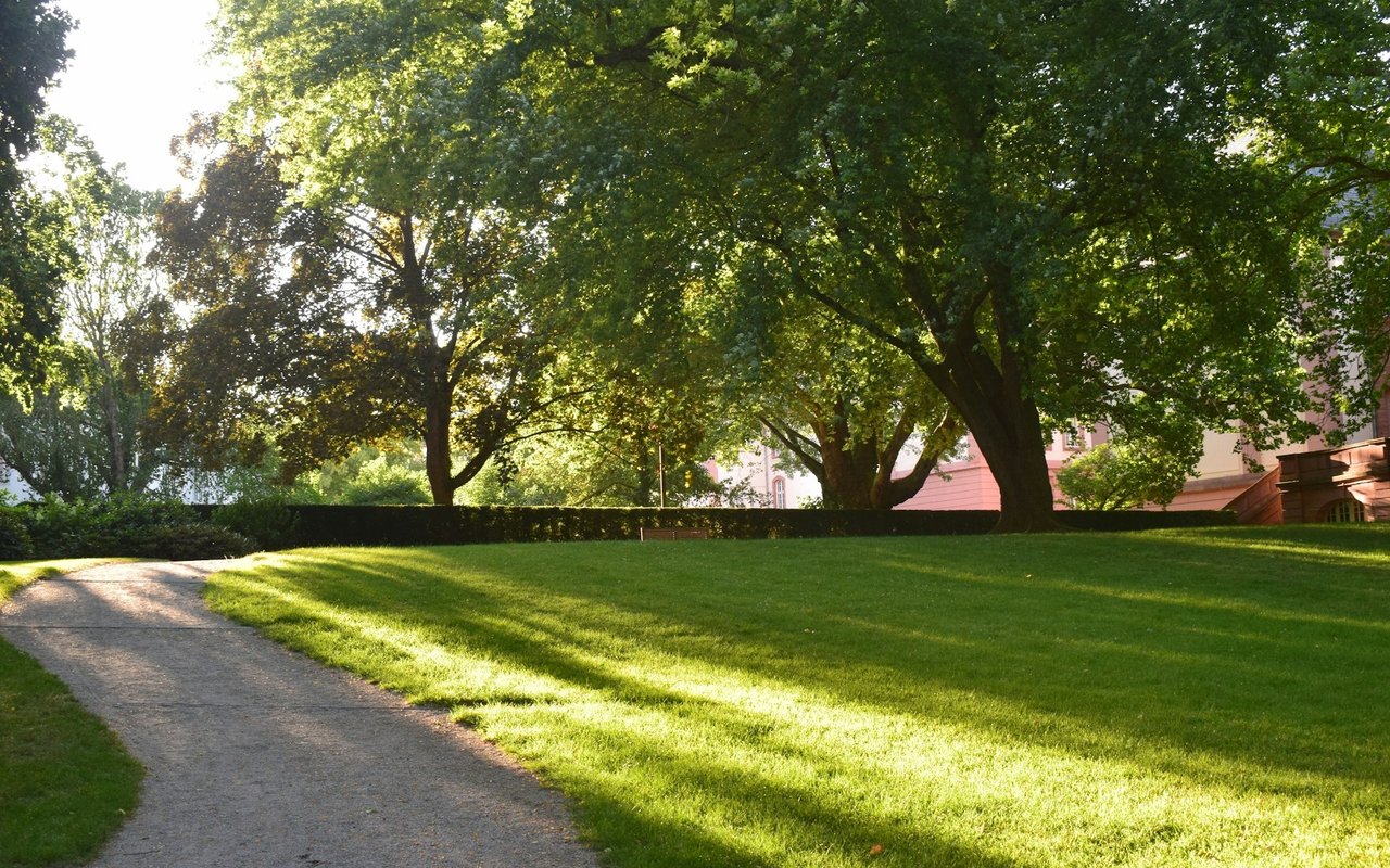 Medinah