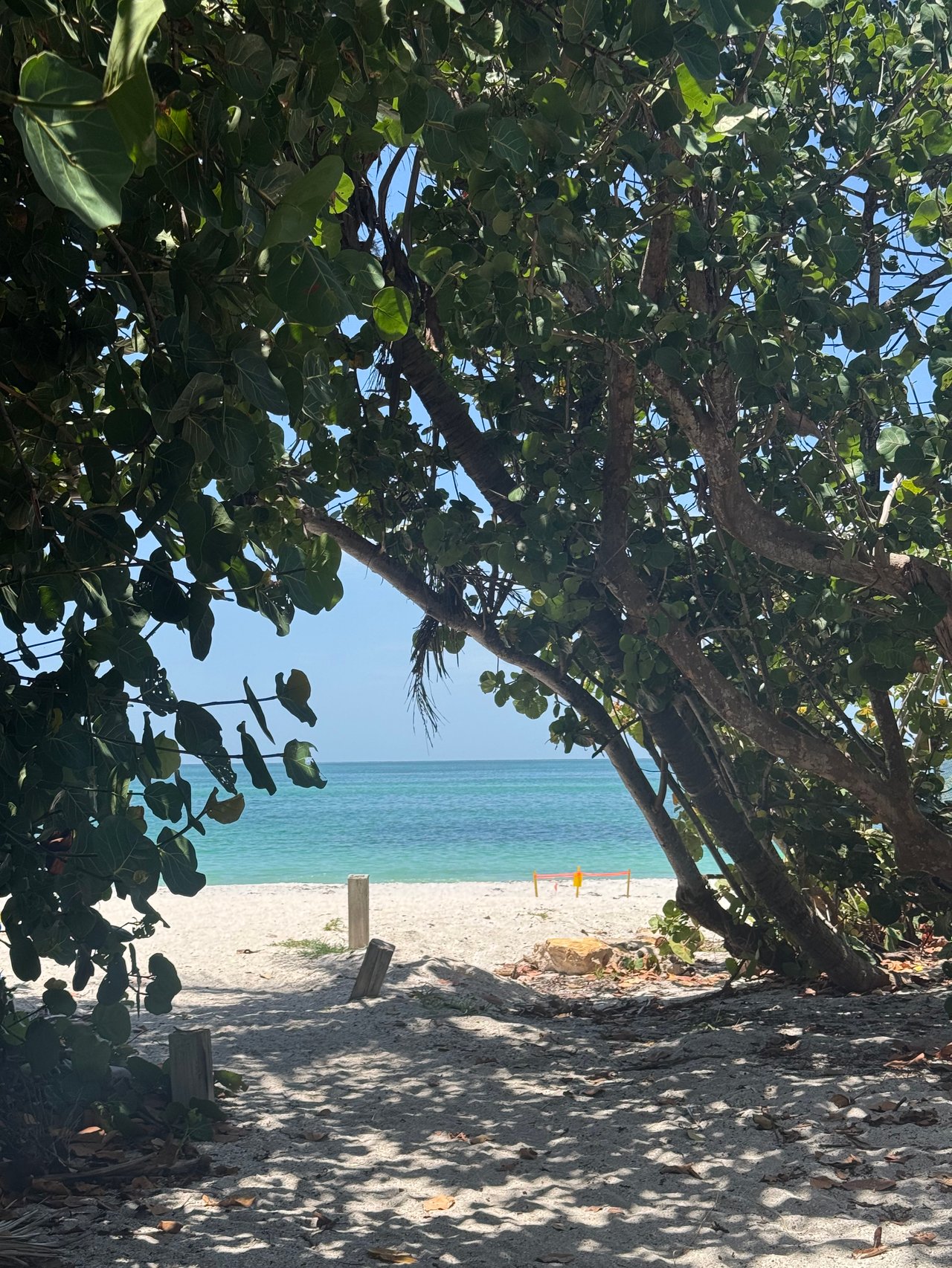 Boca Grande Turtle Nesting