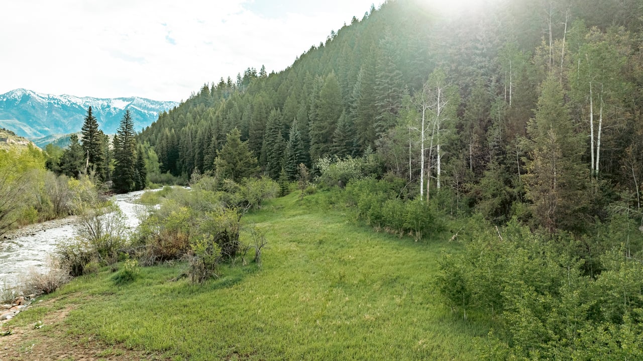 Grassy riverfront property below a forested hillside, with snow-capped mountains in the distance.