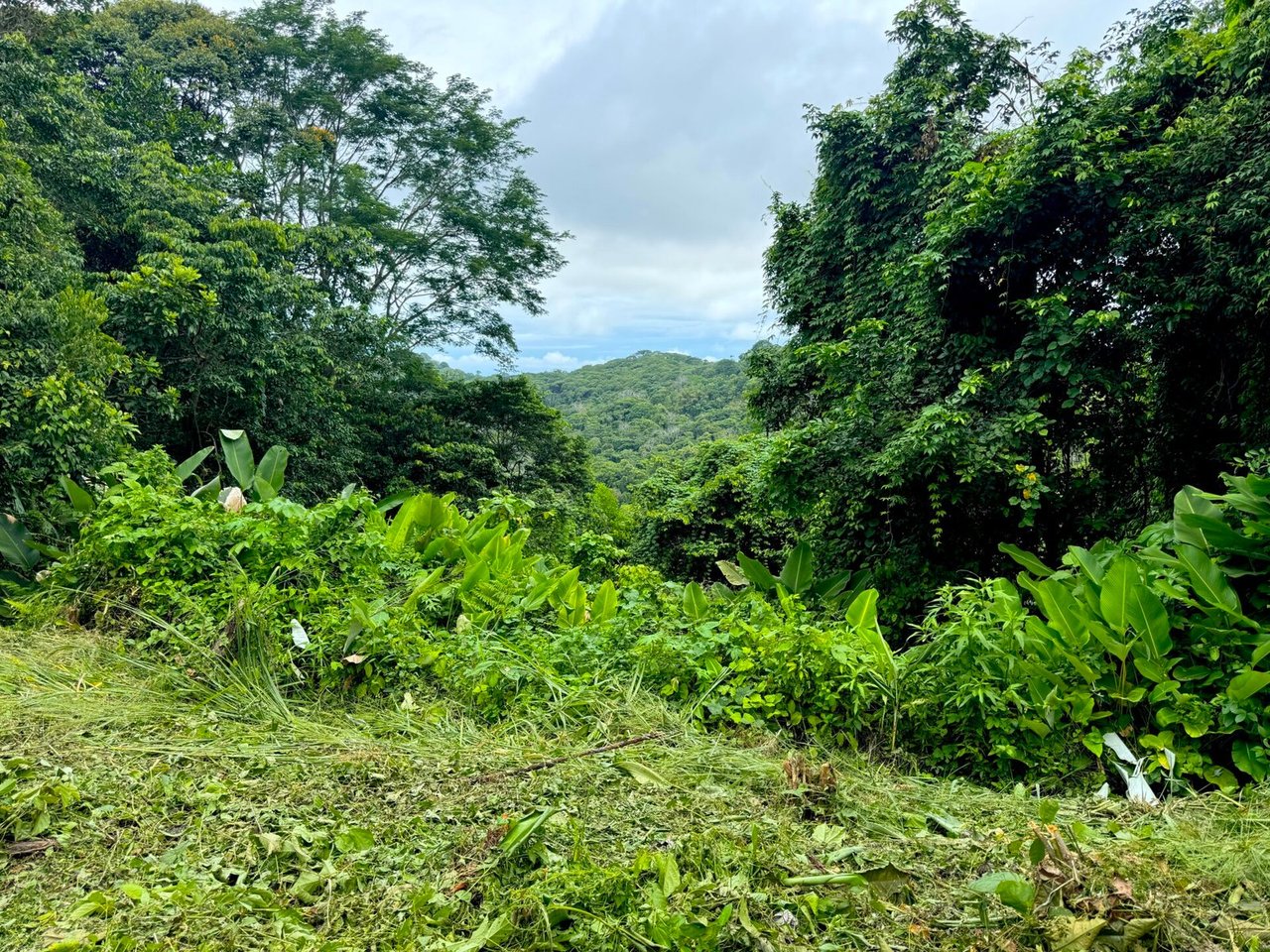 3 ACRES – Beautiful Mountain View Property, Small Ocean Window, Public Road Frontage, Multiple Building Sites, Many Fruit Trees!!!!