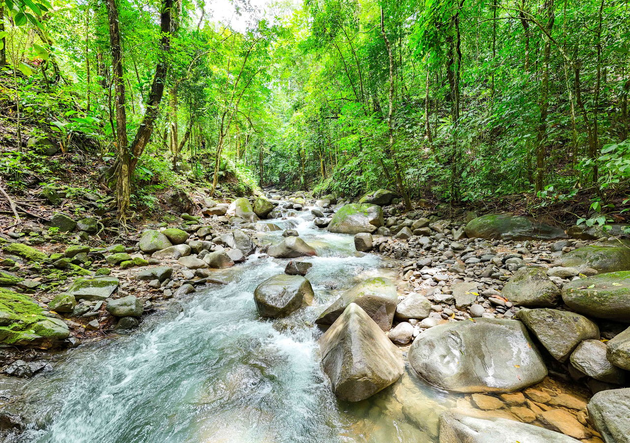 Welcome to your dream property in the heart of Cinco Ventanas, Costa Rica.