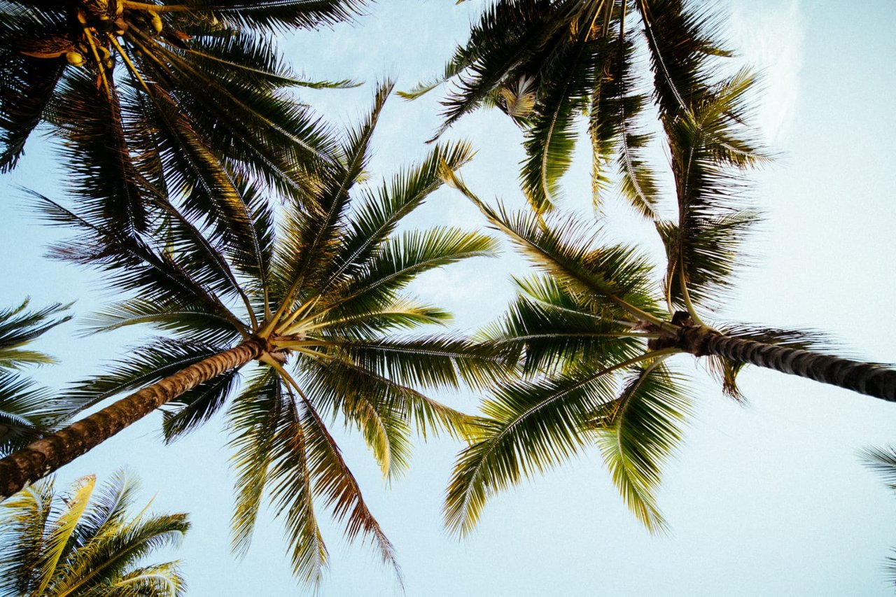 Casa Stella Mandiri Beach Krui for Sale