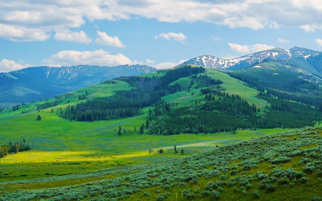 Opportunity in Bridger Canyon: True Timber-Framed Elegance