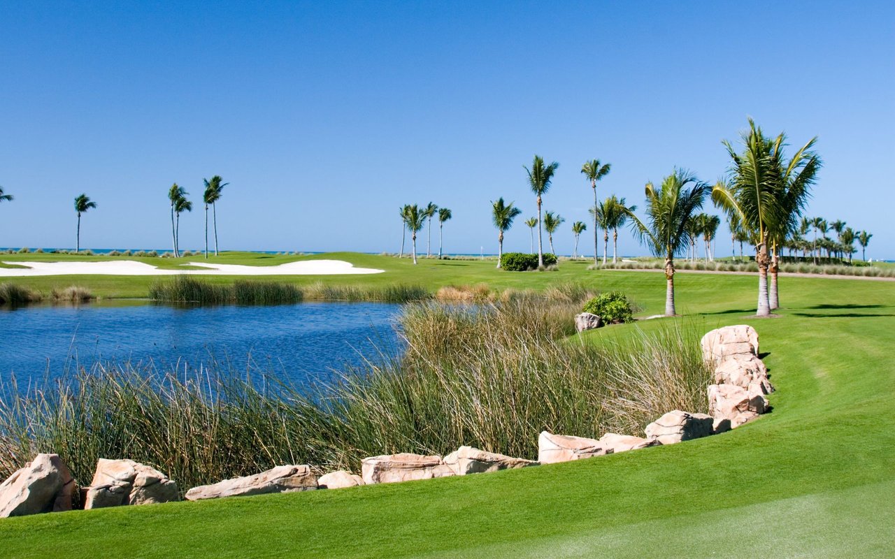 Palmetto Dunes / Leamington