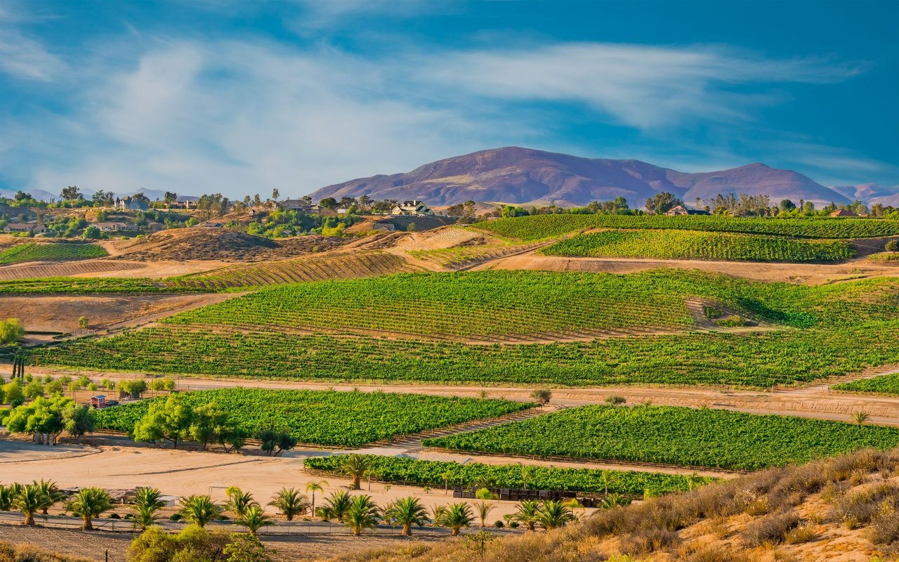 Temecula Wine Country