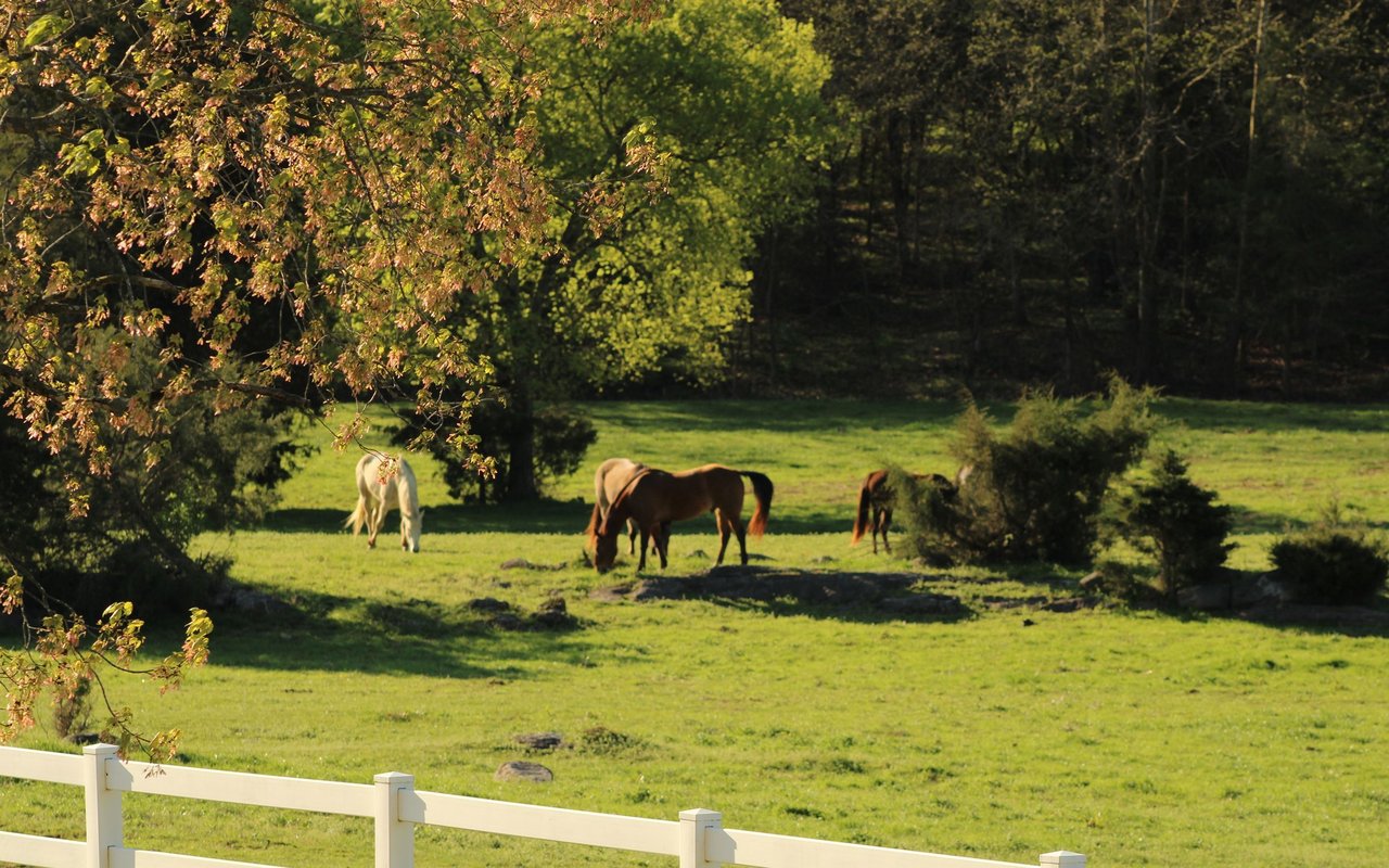 Spring Hill
