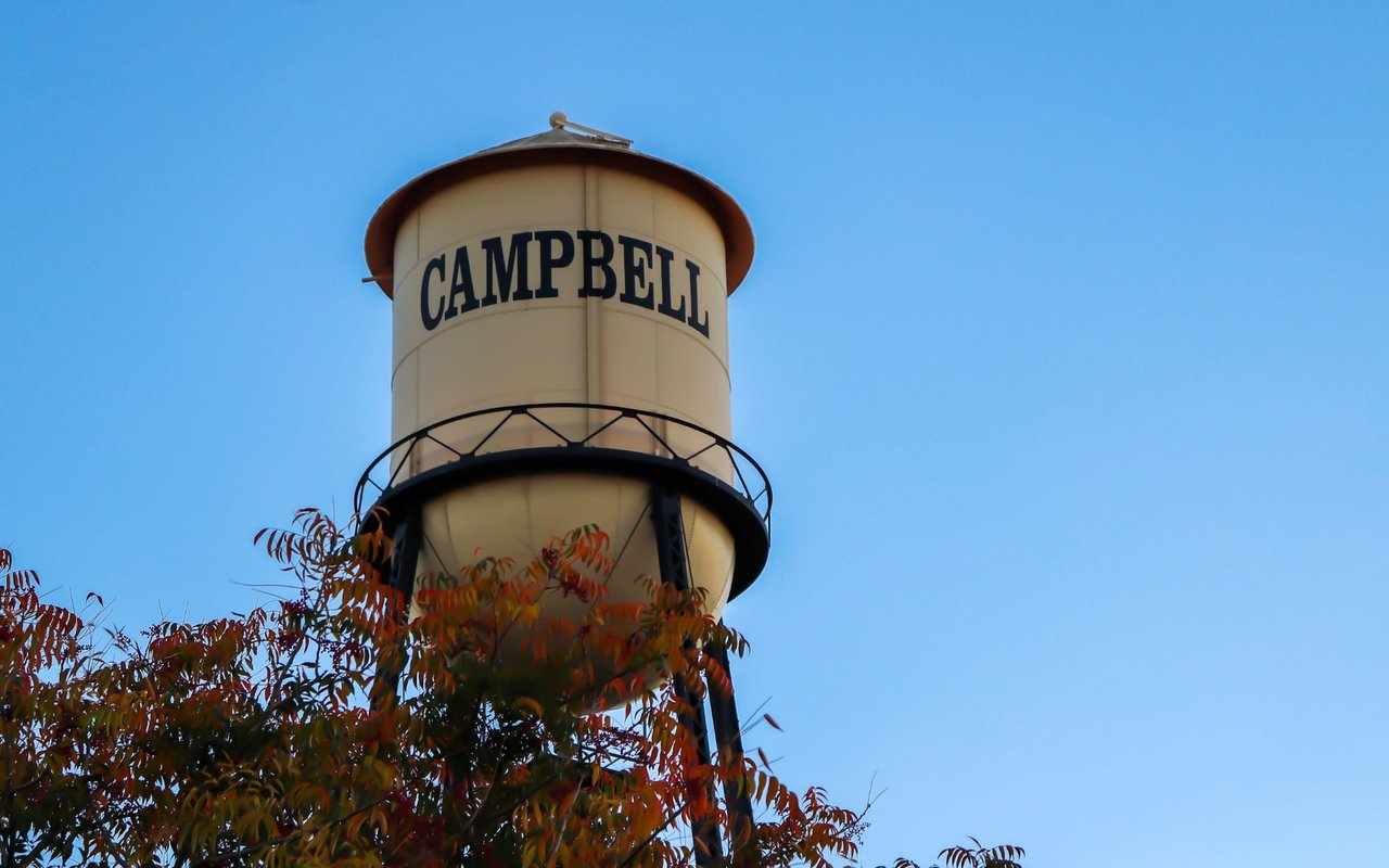 Campbell