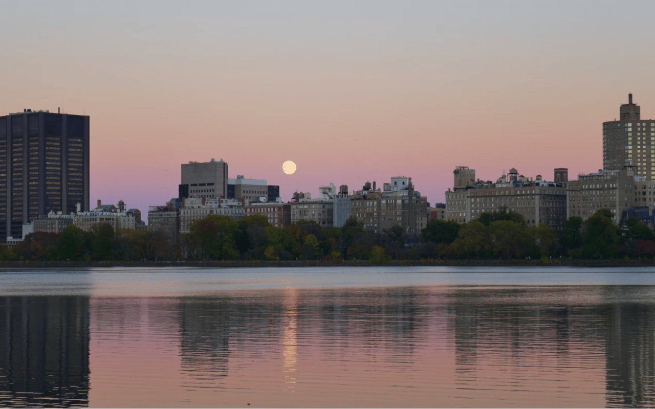 Top 5 Outdoor Activities to Do in The Upper West Side, NYC: A Local's Guide