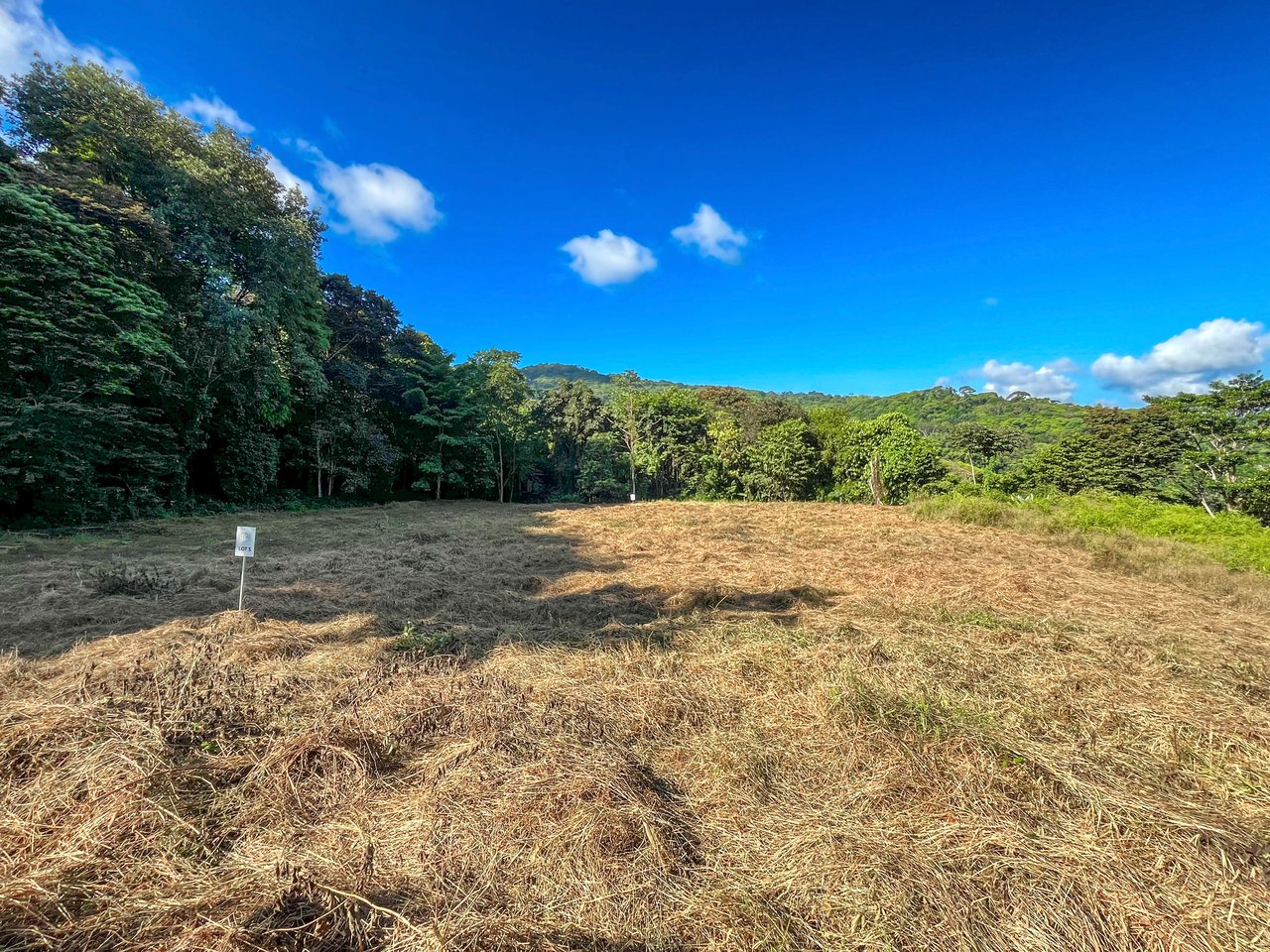 7 ACRES – Mountain Views! Large Building Area, Walking Distance To The Largest Waterfall In The Area, Public Road, Private Setting, Ready To Build, 20Min to Dominical!!