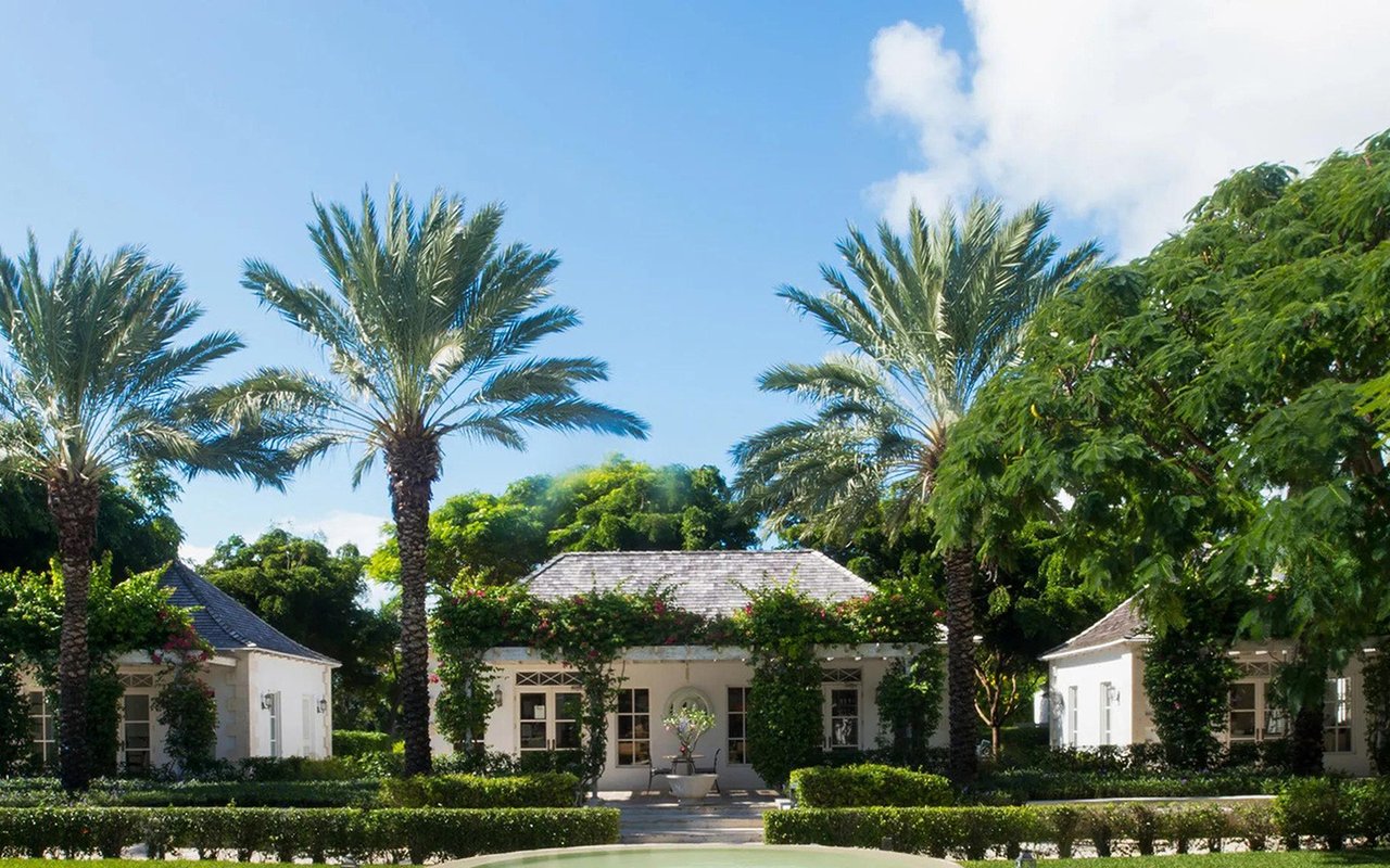The Palms